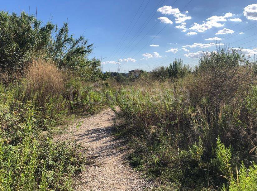 immagine annuncio 1 di 6