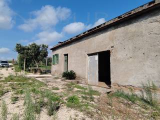 Terreno agricolo in vendita a cisterna di latina 