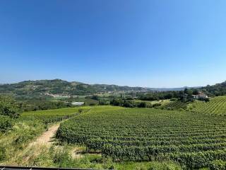 Terreno agricolo in vendita a canelli corso della libertà, 19