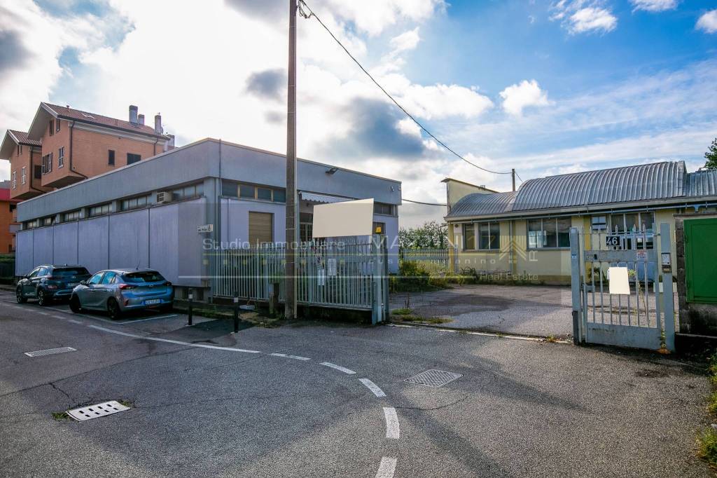 immagine annuncio 5 di 15