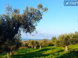 Terreno agricolo in vendita a cerveteri via casale dell'oliveto, 1