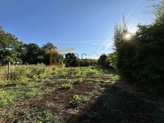 Terreno agricolo in vendita a gallicano nel lazio via val pantano prima