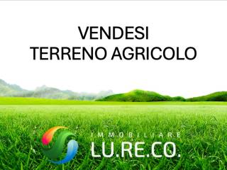 Terreno agricolo in vendita a seregno via benvenuto cellini