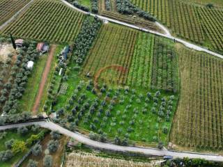 Terreno agricolo in vendita ad arco via gambor