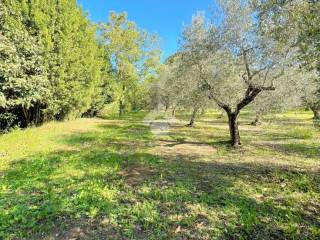 Terreno agricolo in vendita a velletri via rioli