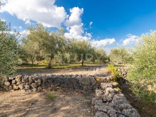 Terreno agricolo in vendita a misterbianco via ficarelli