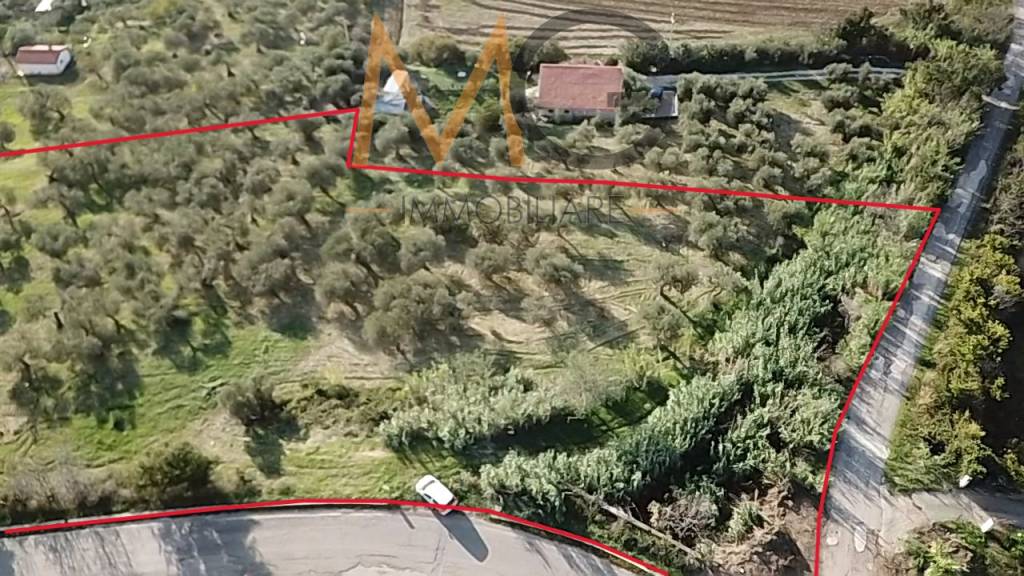 immagine annuncio 5 di 12