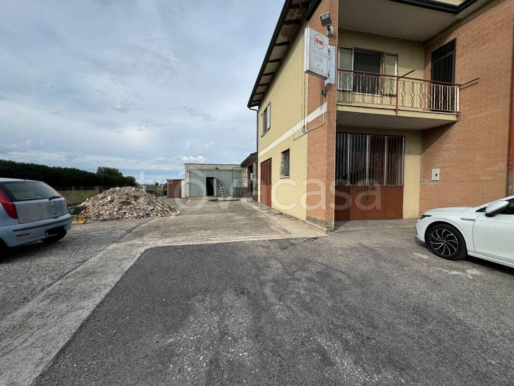 immagine annuncio 1 di 14