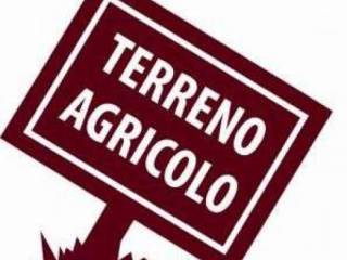 Terreno agricolo in vendita a mestrino 