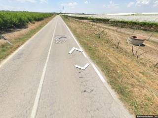 Terreno agricolo in vendita a san ferdinando di puglia sp62