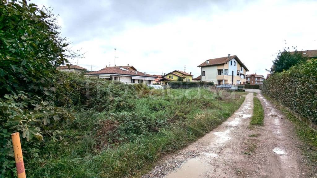 immagine annuncio 2 di 4