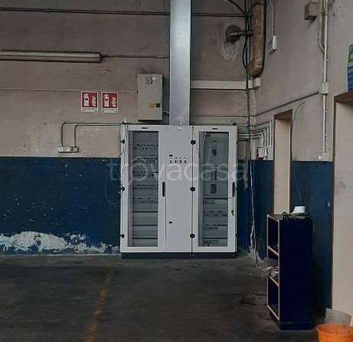 immagine annuncio 2 di 8