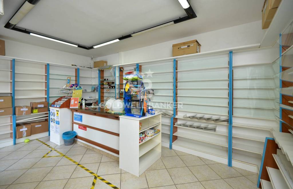 immagine annuncio 5 di 13