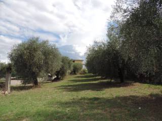 Villa bifamiliare in vendita a fara in sabina viale 25 aprile, 87