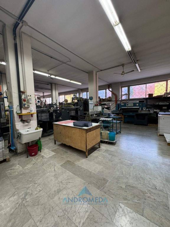 immagine annuncio 6 di 11