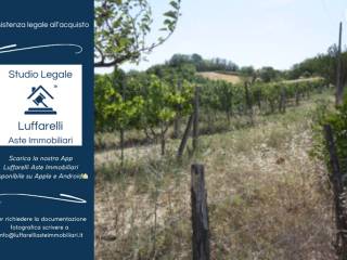 Terreno agricolo in vendita a urbino via ca' biagio, snc