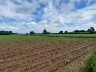 Terreno agricolo in vendita a cesate strada xxii