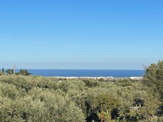 Terreno agricolo in vendita a monopoli contrada san vincenzo