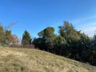 Terreno agricolo in affitto a bologna via di monte albano