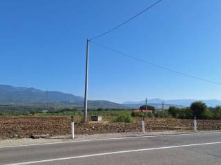 Terreno agricolo in vendita a battipaglia strada statale tirrena inferiore