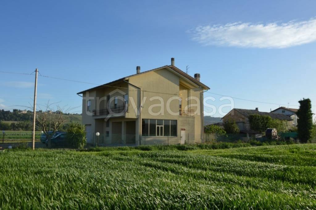 immagine annuncio 2 di 13