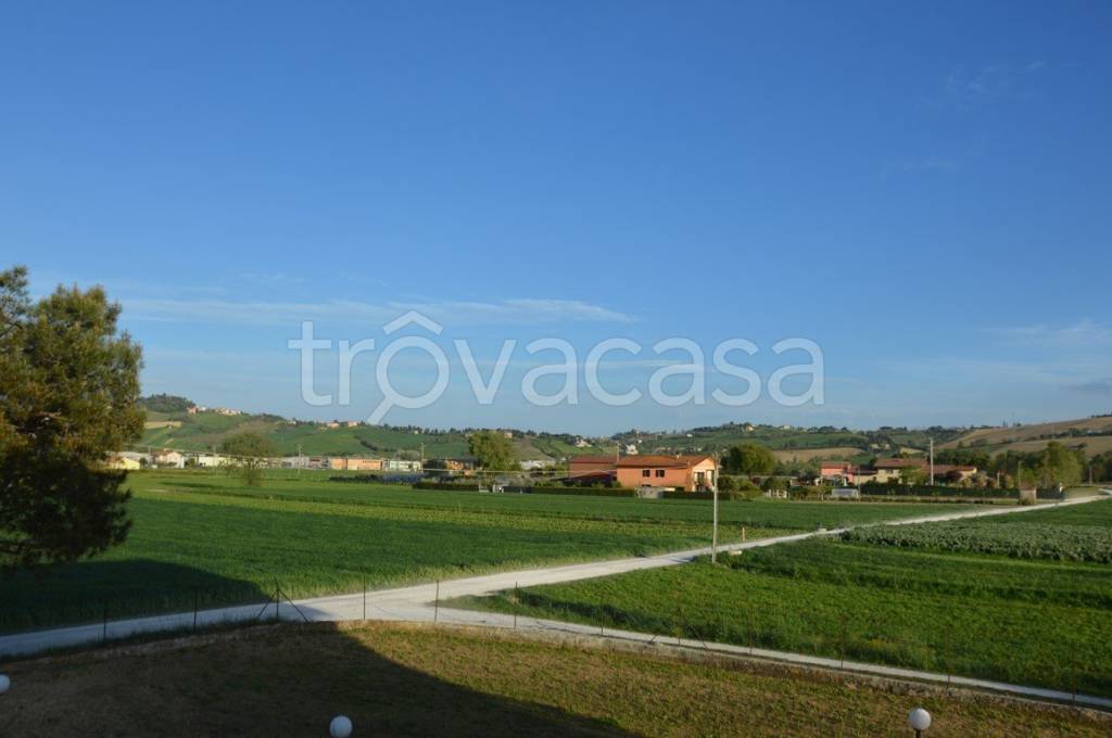 immagine annuncio 6 di 13