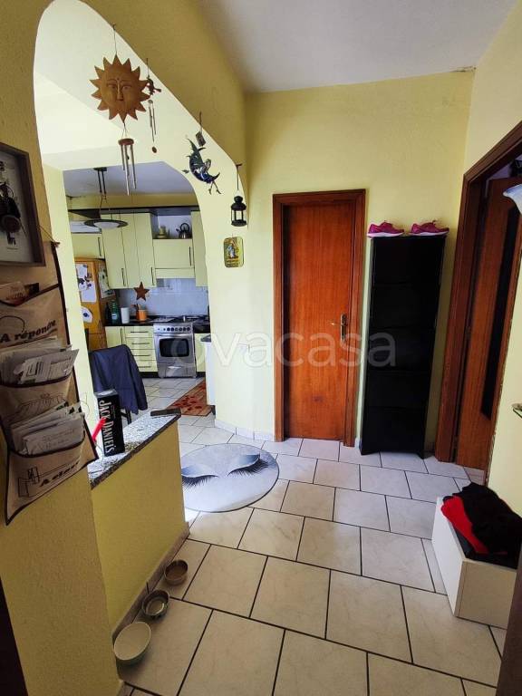 immagine annuncio 1 di 12