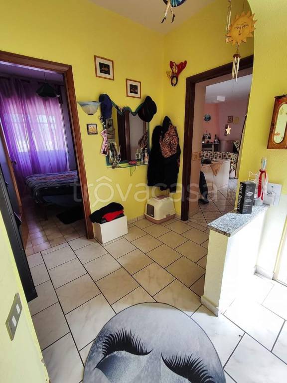 immagine annuncio 2 di 12