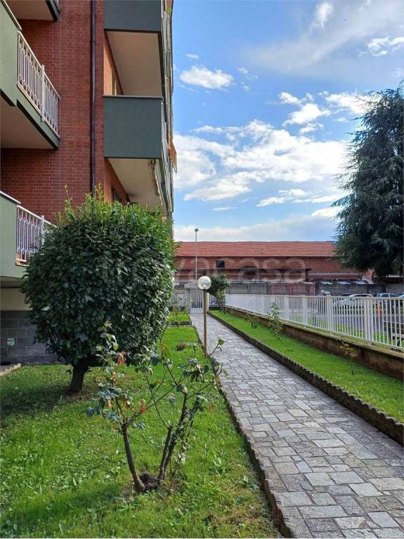immagine annuncio 2 di 14