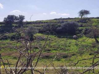 Terreno agricolo in vendita a ragusa via san giacomo - c.da bellocozzo sn