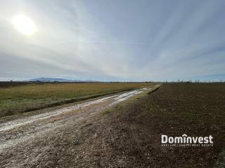 Terreno agricolo in vendita a orbetello strada provinciale san donato