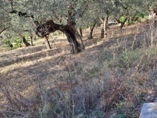 Terreno residenziale in vendita a loreto aprutino 