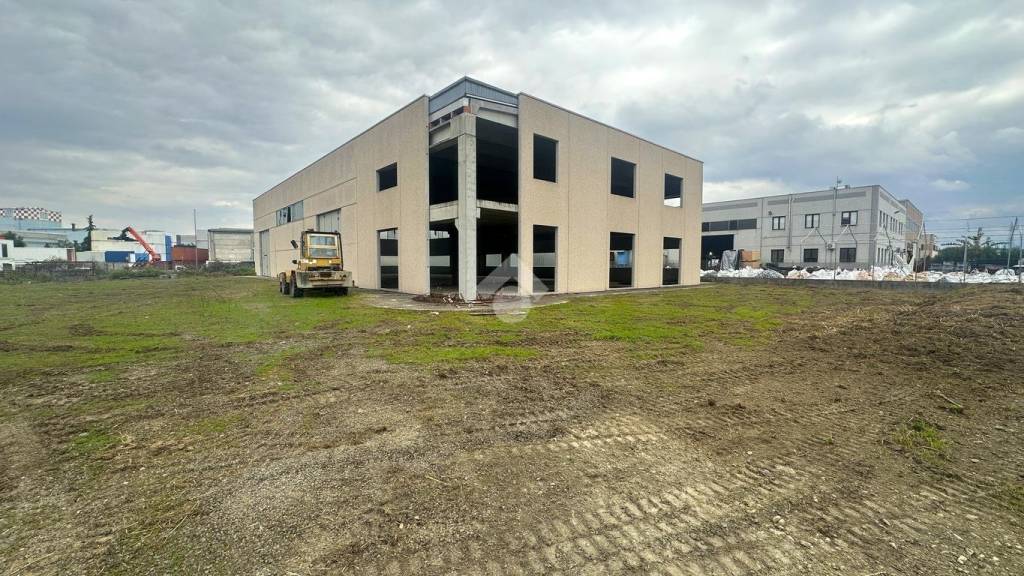 immagine annuncio 6 di 15