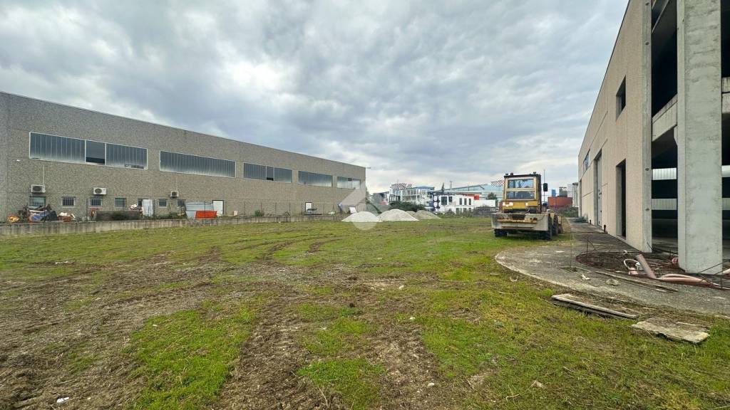 immagine annuncio 8 di 15