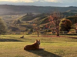Terreno agricolo in vendita a diano d'alba via carzello