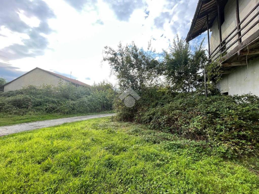 immagine annuncio 3 di 12