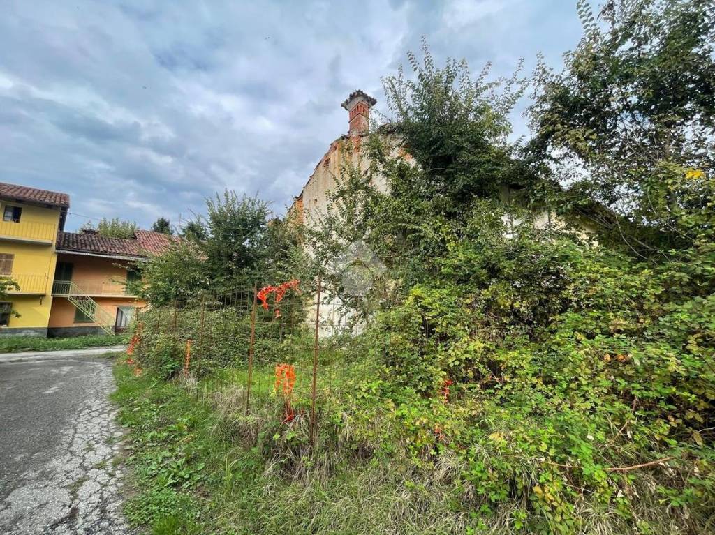 immagine annuncio 2 di 12