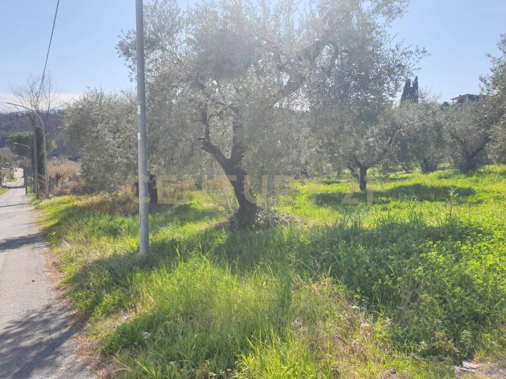 immagine annuncio 5 di 11