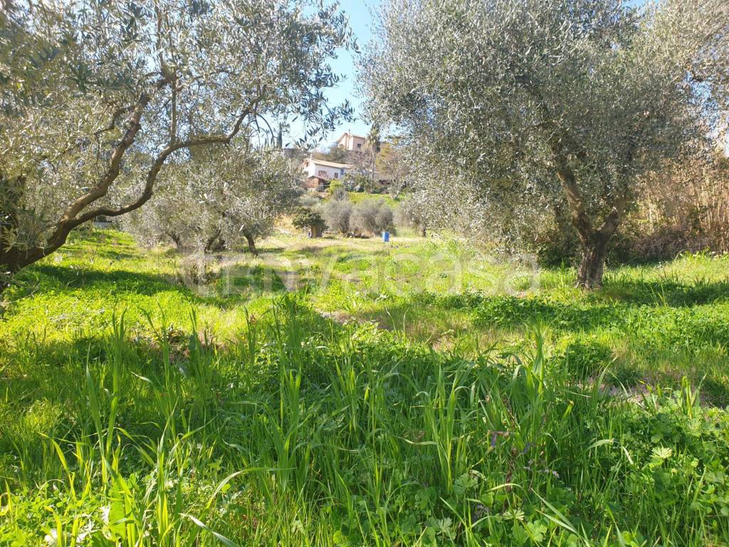 immagine annuncio 9 di 11