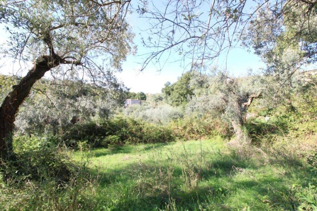 immagine annuncio 9 di 12
