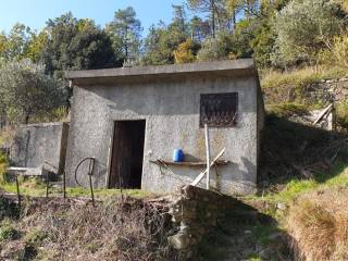 Rustico in vendita a monterosso al mare località molinelli