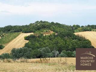 Cascina in vendita ad ancona via montacuto s.n.c.