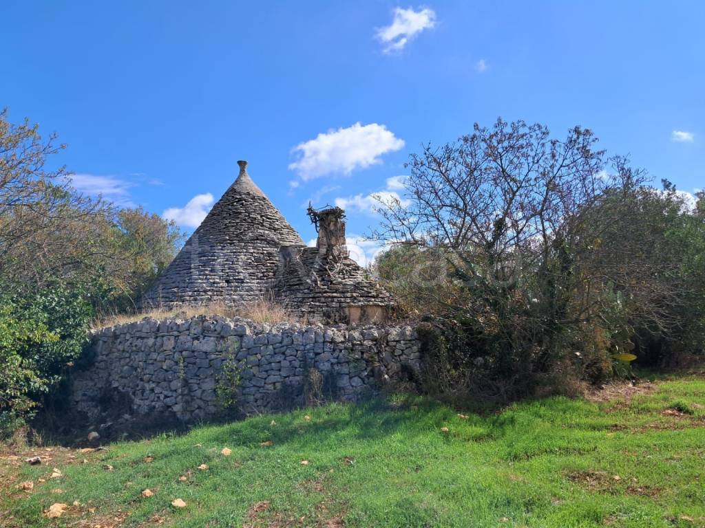 immagine annuncio 3 di 14