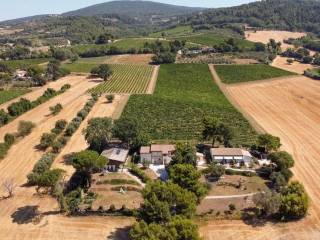 Cascina in vendita ad ancona via boranico s.n.c.