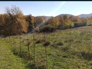 Terreno agricolo in vendita a trivigliano via paterno