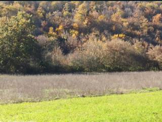 Terreno agricolo in vendita a trivigliano via malle