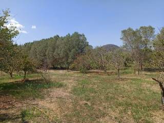 Terreno agricolo in vendita a san vito via torino