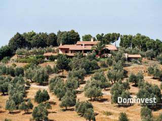 Villa in vendita a castiglione della pescaia castiglione della pescaia