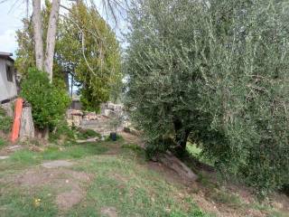 Terreno agricolo in vendita a monterotondo via guerrazzi