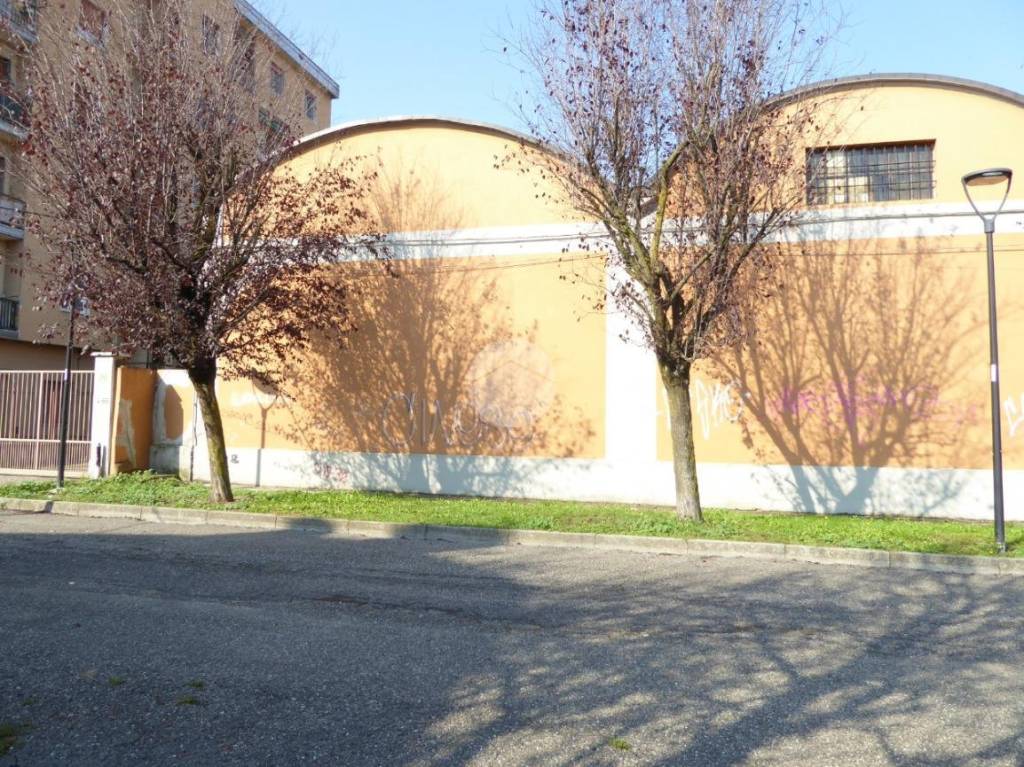 immagine annuncio 1 di 15
